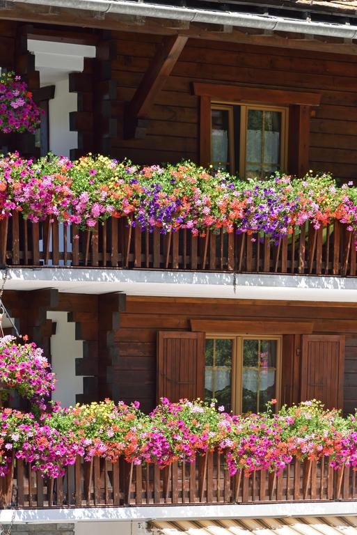 Hotel Les Melezes Haudères Exteriér fotografie